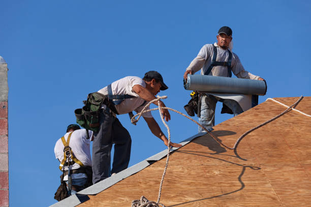 Best Roof Maintenance Services  in Industry, PA